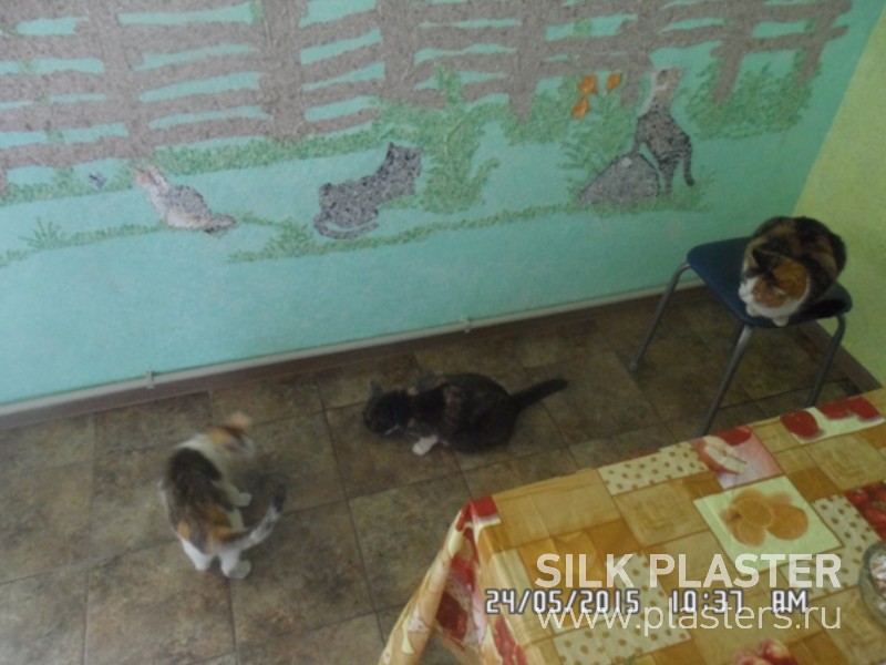 Promo_SILK_ PLASTER_2015_ 5.jpg Promo_SILK_ PLASTER_2015_ 5.jpg